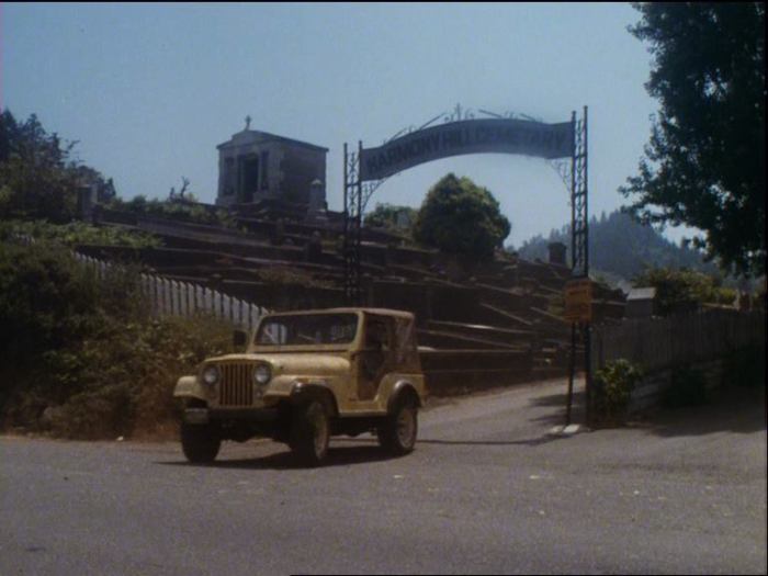 Salem’s Lot (1979) - Harmony Hill Cemetery where Danny Glick is buried - scene from movie